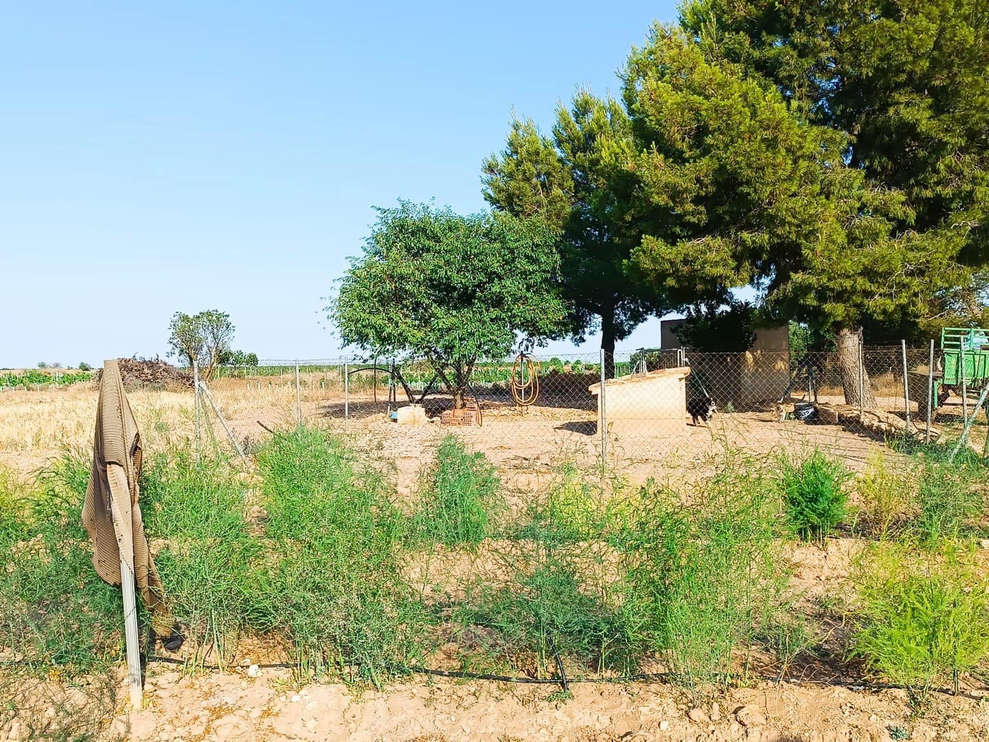 3 soverom Finca/Herregård til salgs i Yecla med garasje - € 89 000 (Ref: 9946825)