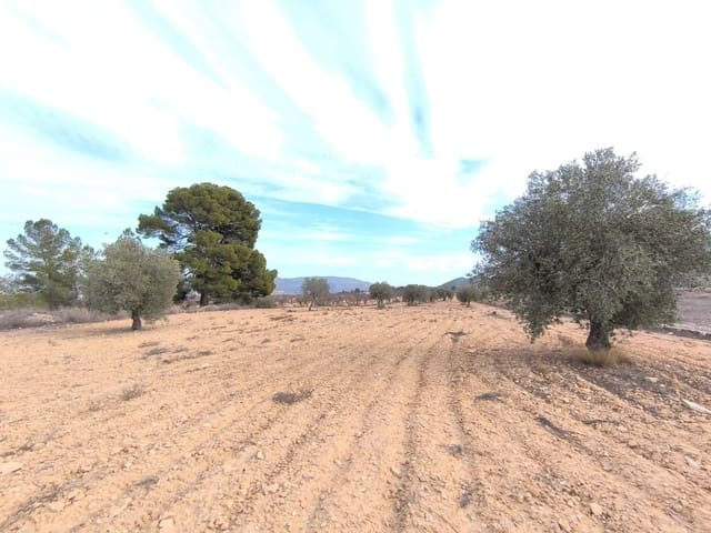 3 camera da letto Villa in vendita in Monóvar / Monóver con piscina garage - 420.000 € (Rif: 9956191)