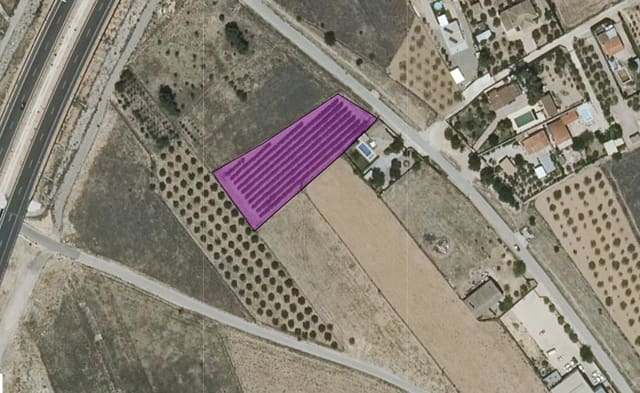 Undeveloped Land for sale in Caudete - € 49,995 (Ref: 9956319)