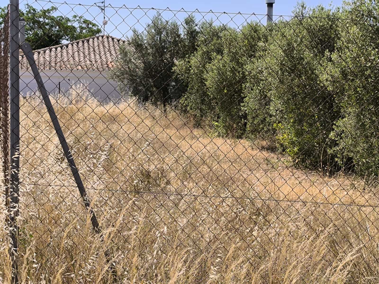 Undeveloped Land for sale in Caudete - € 49,995 (Ref: 9956319)