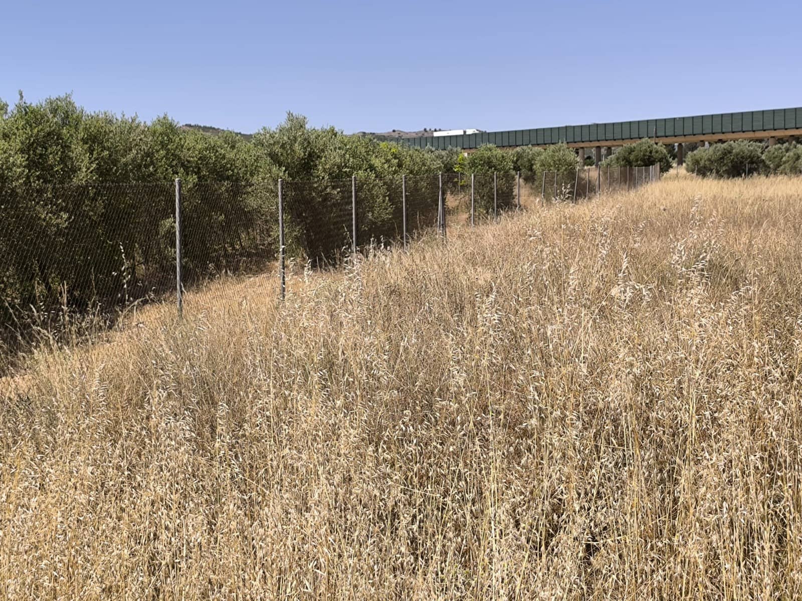 Undeveloped Land for sale in Caudete - € 49,995 (Ref: 9956319)