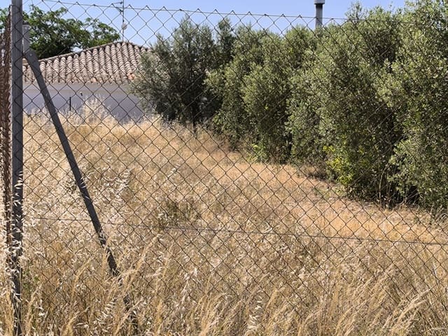 Undeveloped Land for sale in Caudete - € 49,995 (Ref: 9956319)