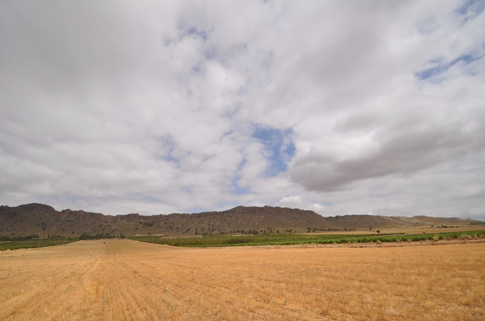 Terre non Aménagée à vendre à Yecla - 29 995 € (Ref: 9963398)