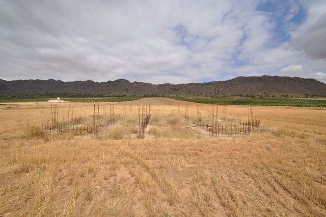 Terre non Aménagée à vendre à Yecla - 29 995 € (Ref: 9963398)