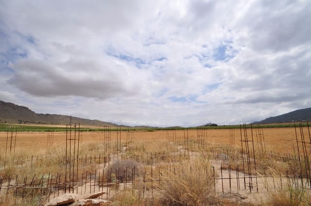 Terre non Aménagée à vendre à Yecla - 29 995 € (Ref: 9963398)