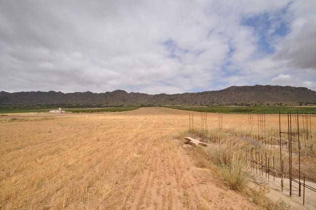 Terre non Aménagée à vendre à Yecla - 29 995 € (Ref: 9963398)