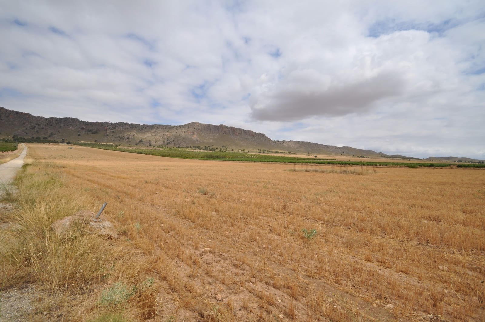 Terre non Aménagée à vendre à Yecla - 29 995 € (Ref: 9963398)
