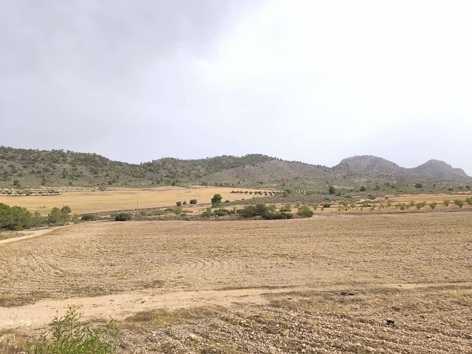 Terreno/Finca Rústica en Yecla en venta - 525.000 € (Ref: 9979321)