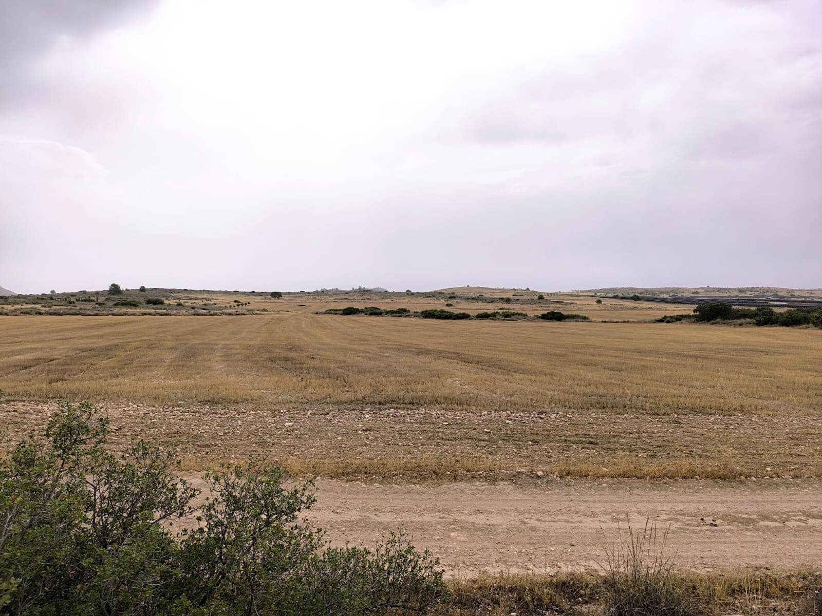 Terreno/Finca Rústica en Yecla en venta - 525.000 € (Ref: 9979321)