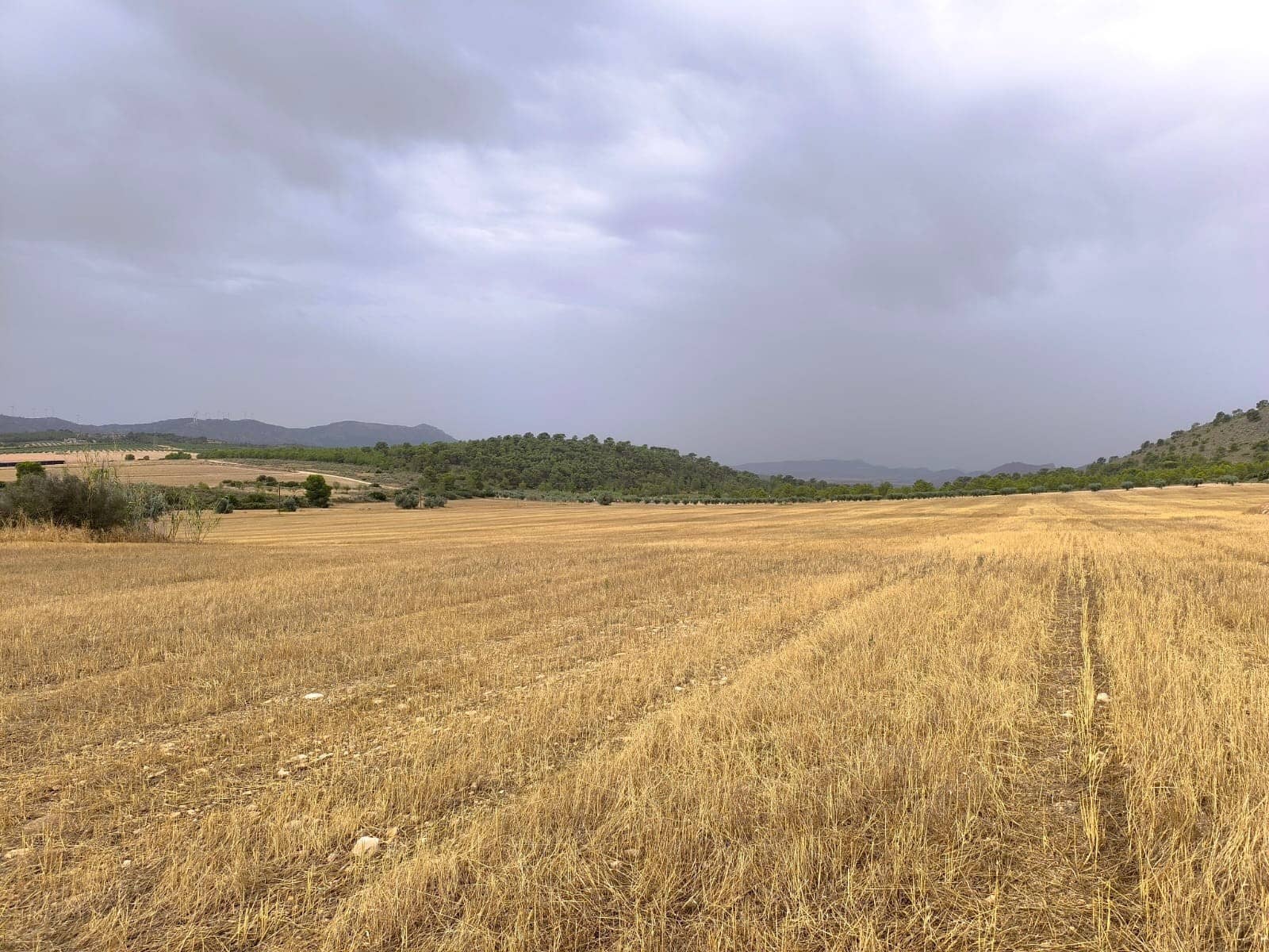 Terreno/Finca Rústica en Yecla en venta - 525.000 € (Ref: 9979321)