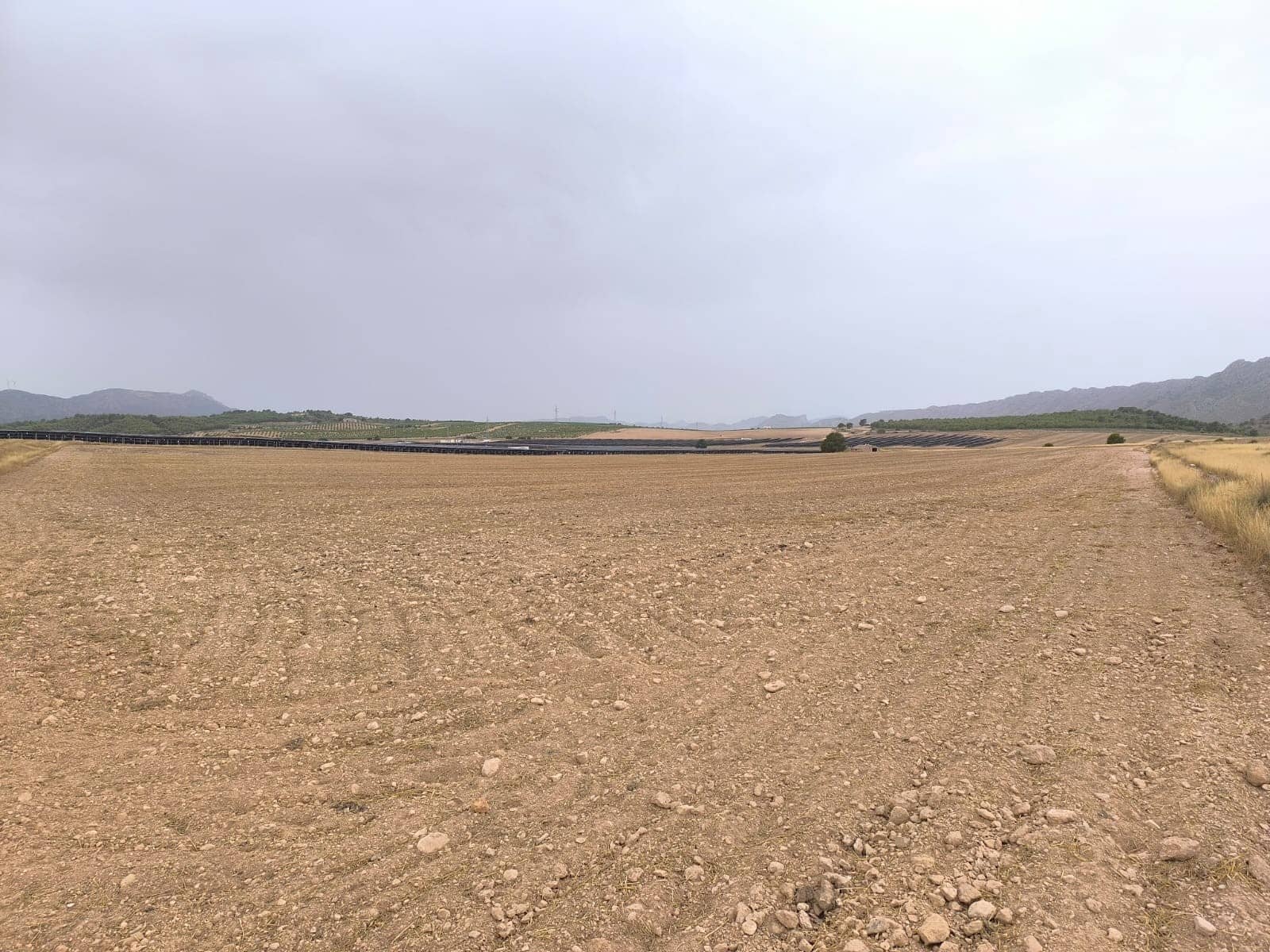Terreno/Finca Rústica en Yecla en venta - 525.000 € (Ref: 9979321)