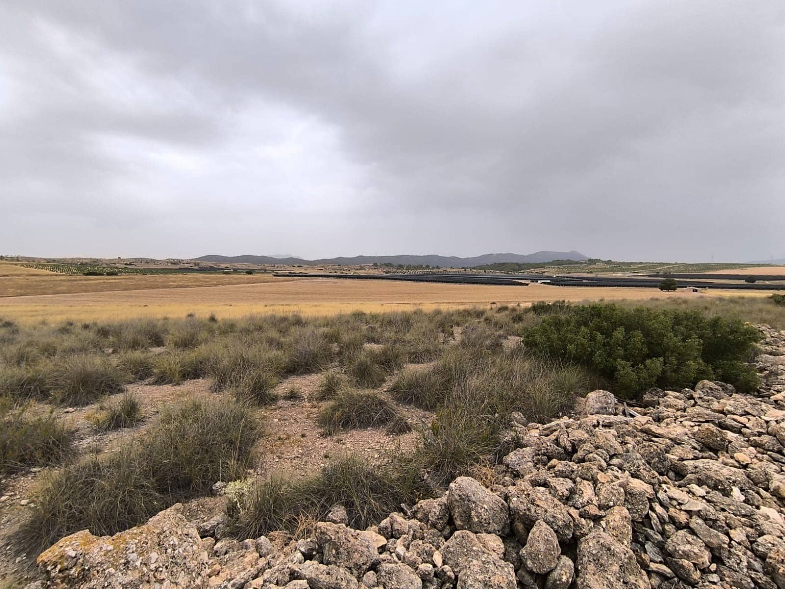 Terreno/Finca Rústica en Yecla en venta - 525.000 € (Ref: 9979321)