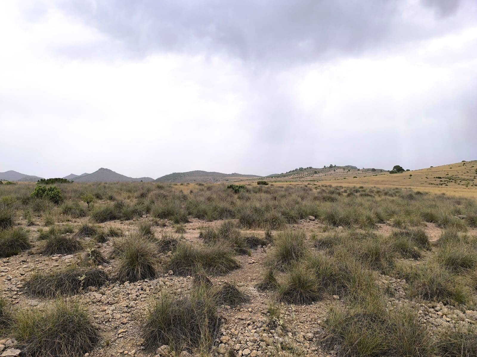 Terreno/Finca Rústica en Yecla en venta - 525.000 € (Ref: 9979321)