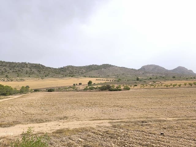 Terreno/Finca Rústica en Yecla en venta - 525.000 € (Ref: 9979321)