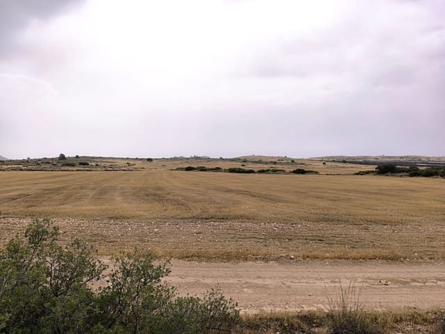 Terreno/Finca Rústica en Yecla en venta - 525.000 € (Ref: 9979321)