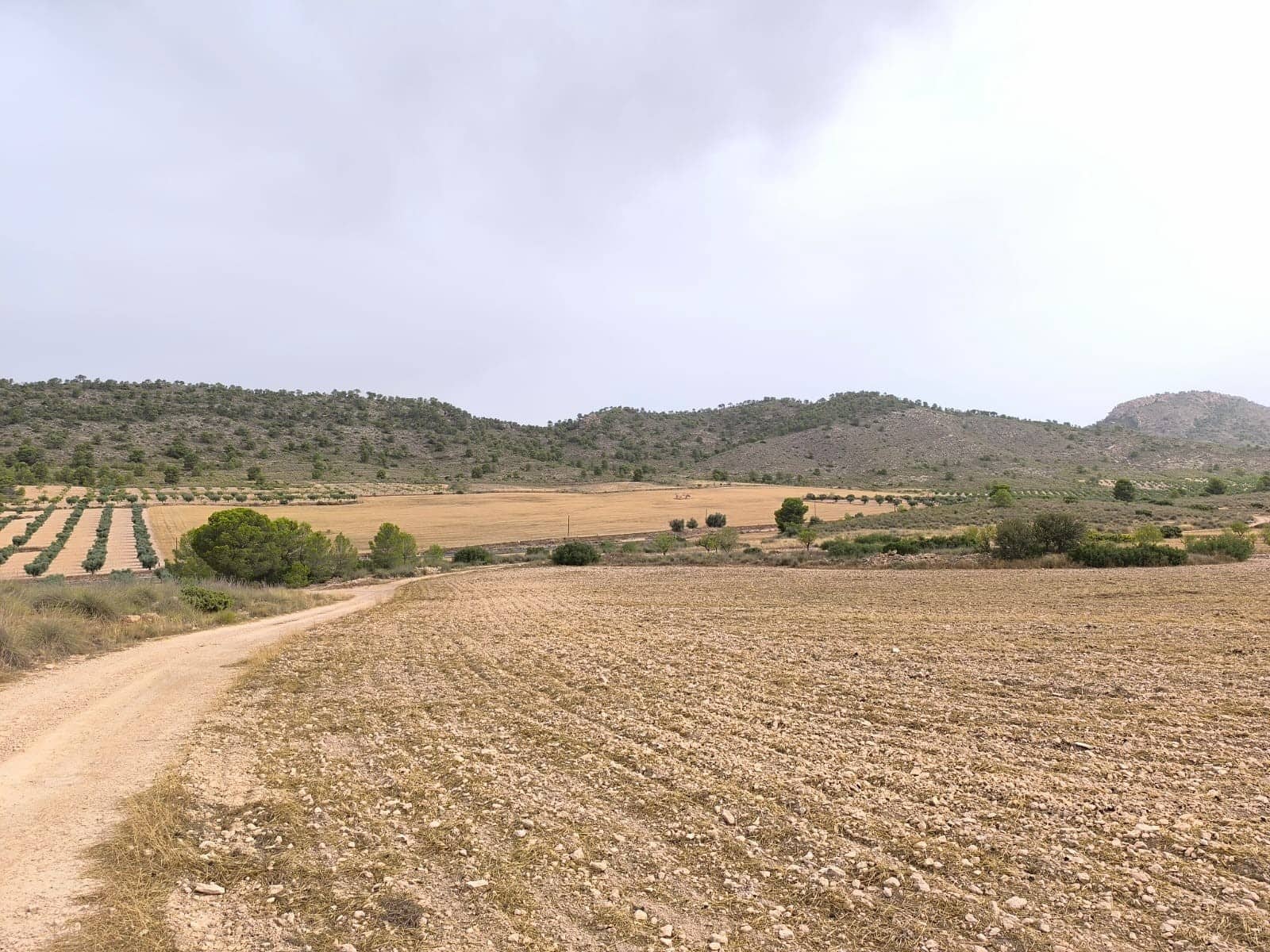 Terreno/Finca Rústica en Yecla en venta - 525.000 € (Ref: 9979321)