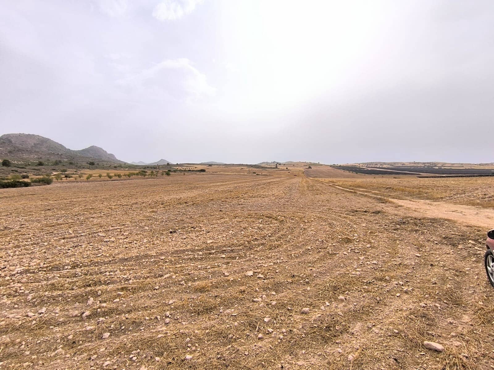 Terreno/Finca Rústica en Yecla en venta - 525.000 € (Ref: 9979321)