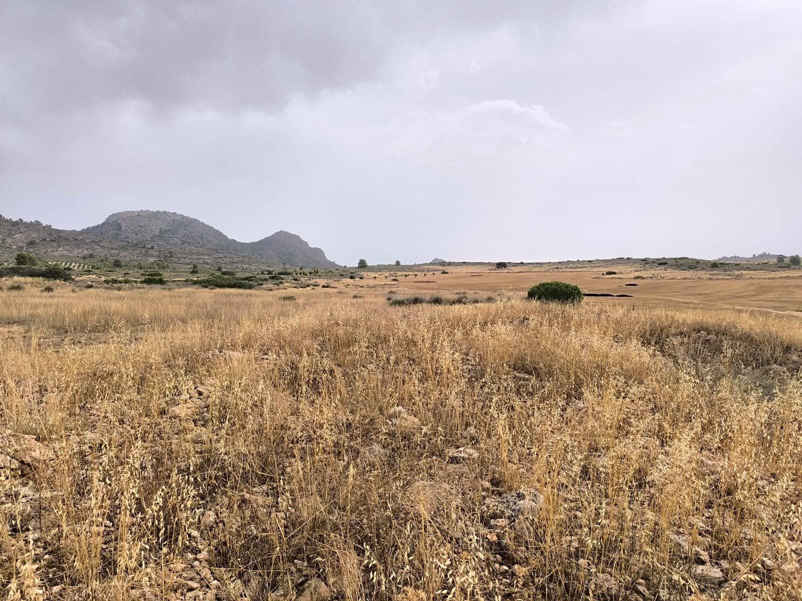 Terreno/Finca Rústica en Yecla en venta - 525.000 € (Ref: 9979321)