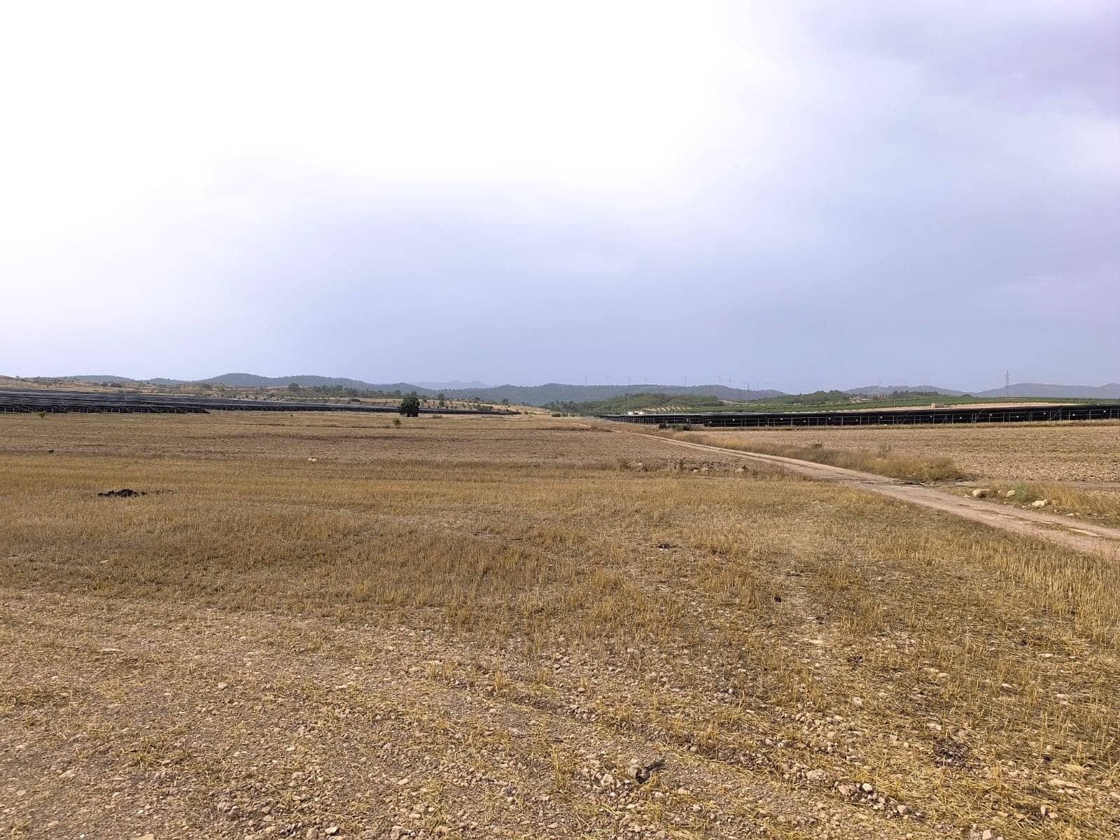 Terreno/Finca Rústica en Yecla en venta - 525.000 € (Ref: 9979321)