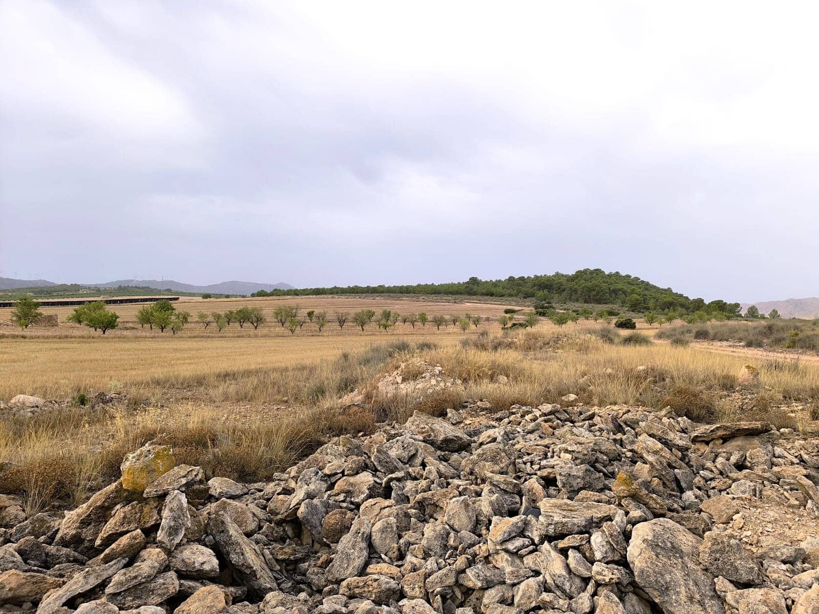Terreno/Finca Rústica en Yecla en venta - 525.000 € (Ref: 9979321)