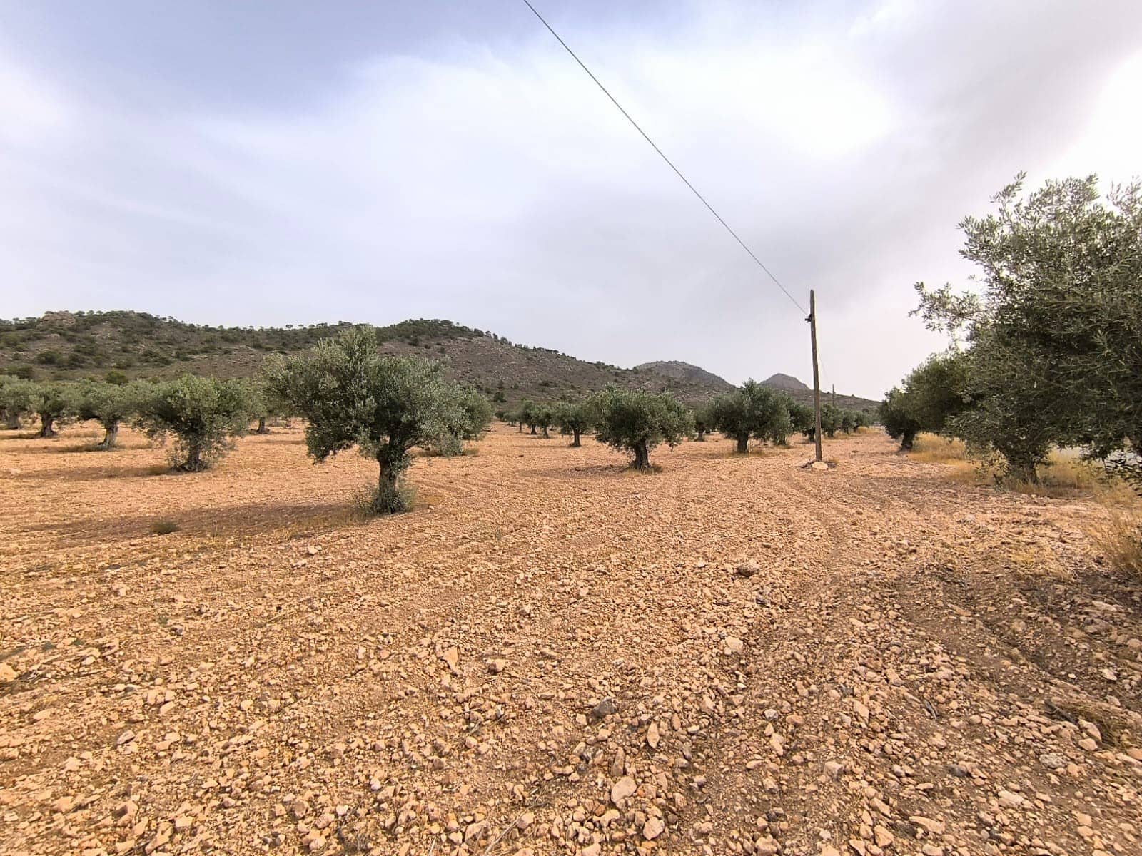 Terreno/Finca Rústica en Yecla en venta - 525.000 € (Ref: 9979321)