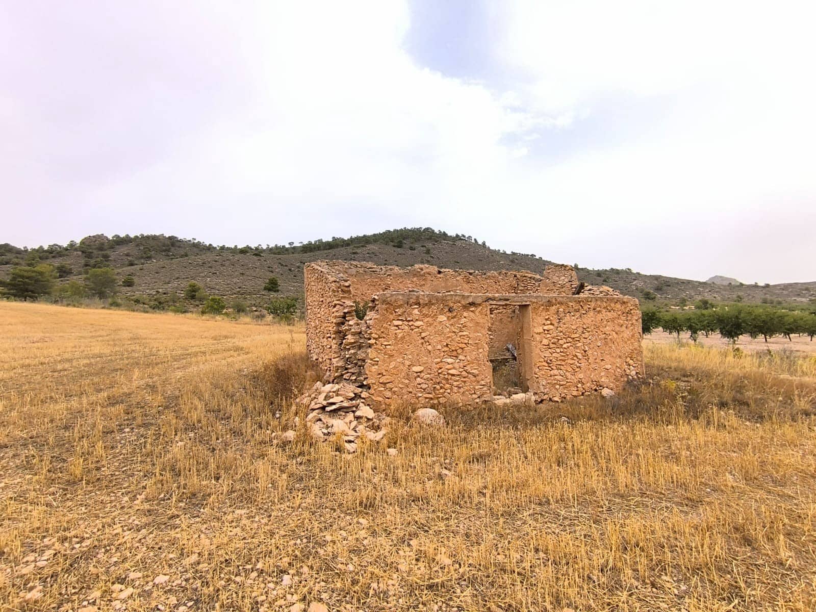 Terreno/Finca Rústica en Yecla en venta - 525.000 € (Ref: 9979321)