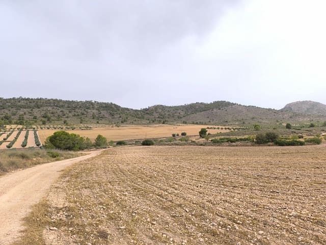 Terreno/Finca Rústica en Yecla en venta - 525.000 € (Ref: 9979321)