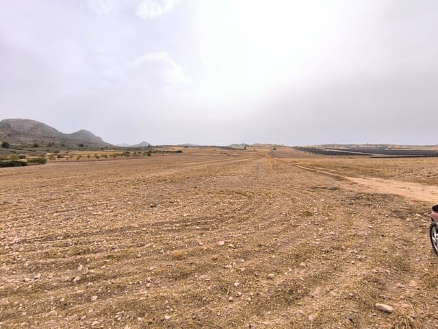 Terreno/Finca Rústica en Yecla en venta - 525.000 € (Ref: 9979321)