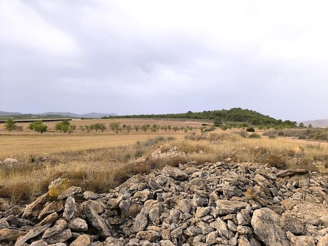 Terreno/Finca Rústica en Yecla en venta - 525.000 € (Ref: 9979321)