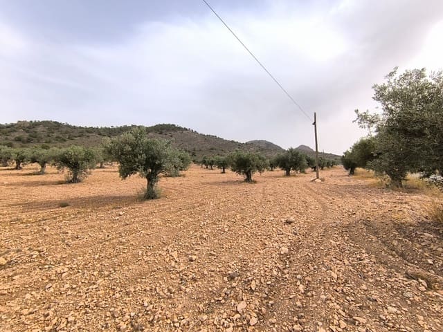 Terreno/Finca Rústica en Yecla en venta - 525.000 € (Ref: 9979321)