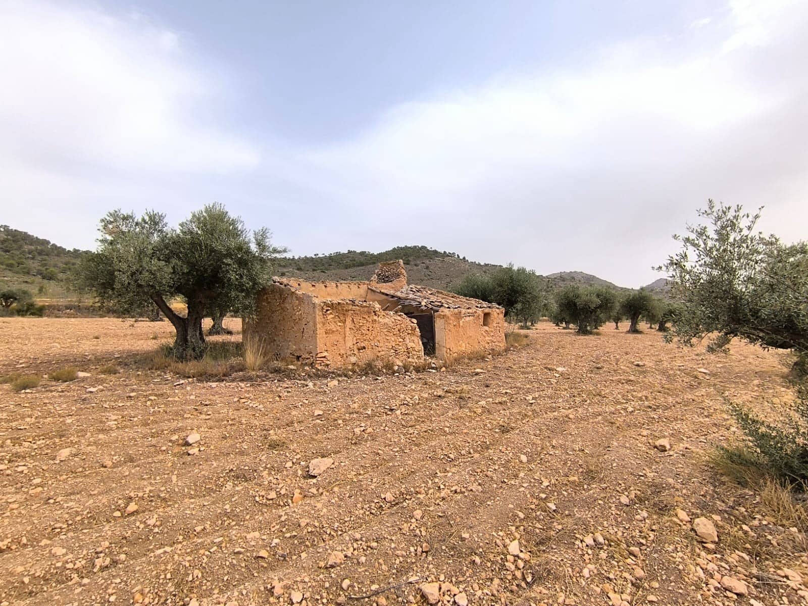 Terreno/Finca Rústica en Yecla en venta - 525.000 € (Ref: 9979321)