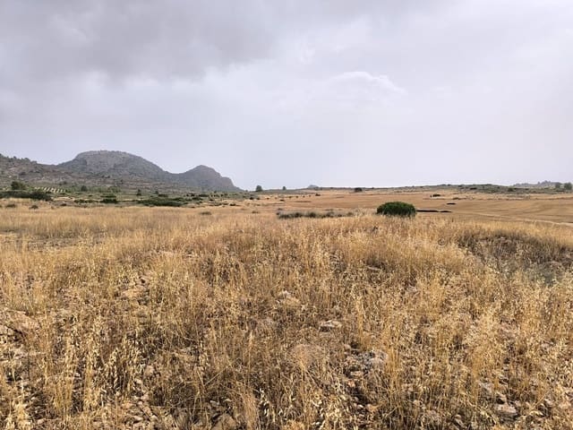 Terreno Non Edificato in vendita in Yecla - 380.000 € (Rif: 9979321)