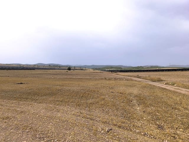 Terreno Non Edificato in vendita in Yecla - 380.000 € (Rif: 9979321)