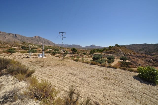 Grunde uden byggetilladelser til salg i Macisvenda, Abanilla - € 35.000 (Ref: 9981447)
