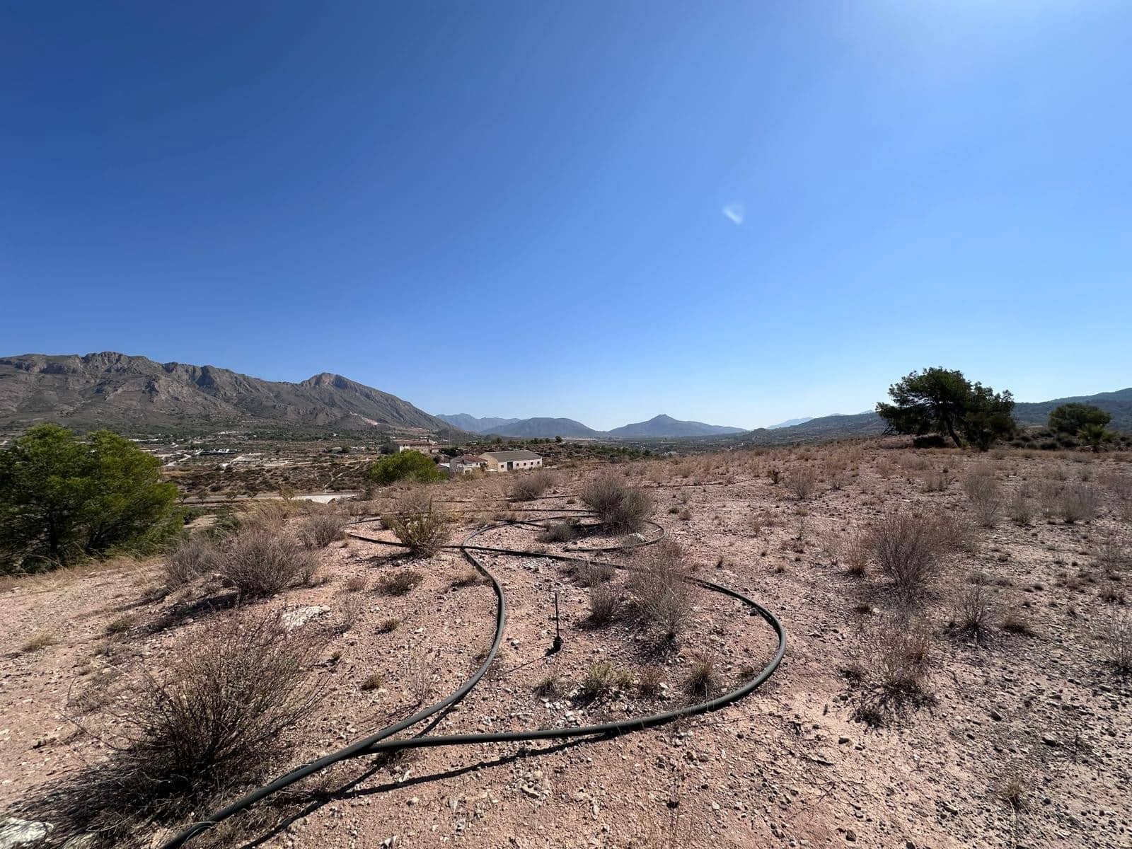 Undeveloped Land for sale in Macisvenda - € 42,000 (Ref: 9981448)