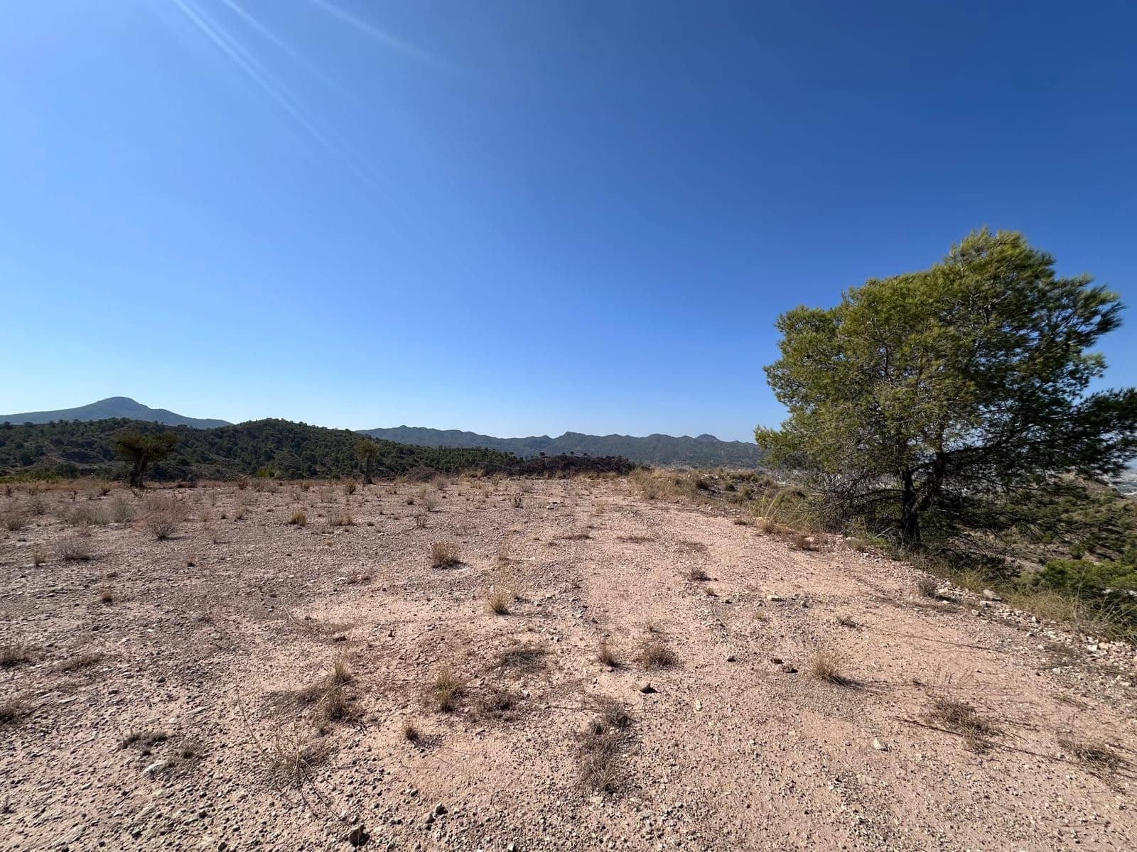 Undeveloped Land for sale in Macisvenda - € 42,000 (Ref: 9981448)