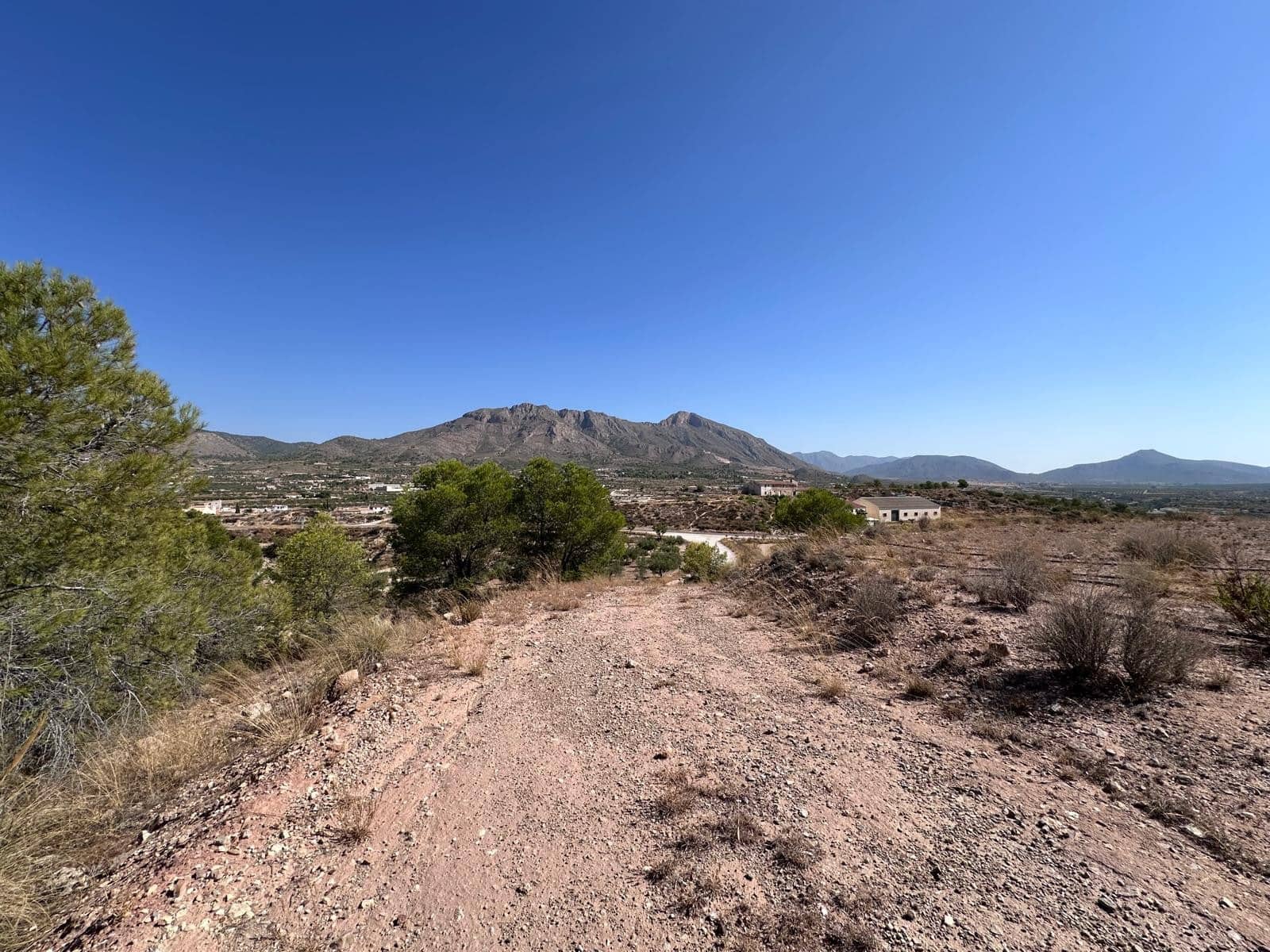 Undeveloped Land for sale in Macisvenda - € 42,000 (Ref: 9981448)