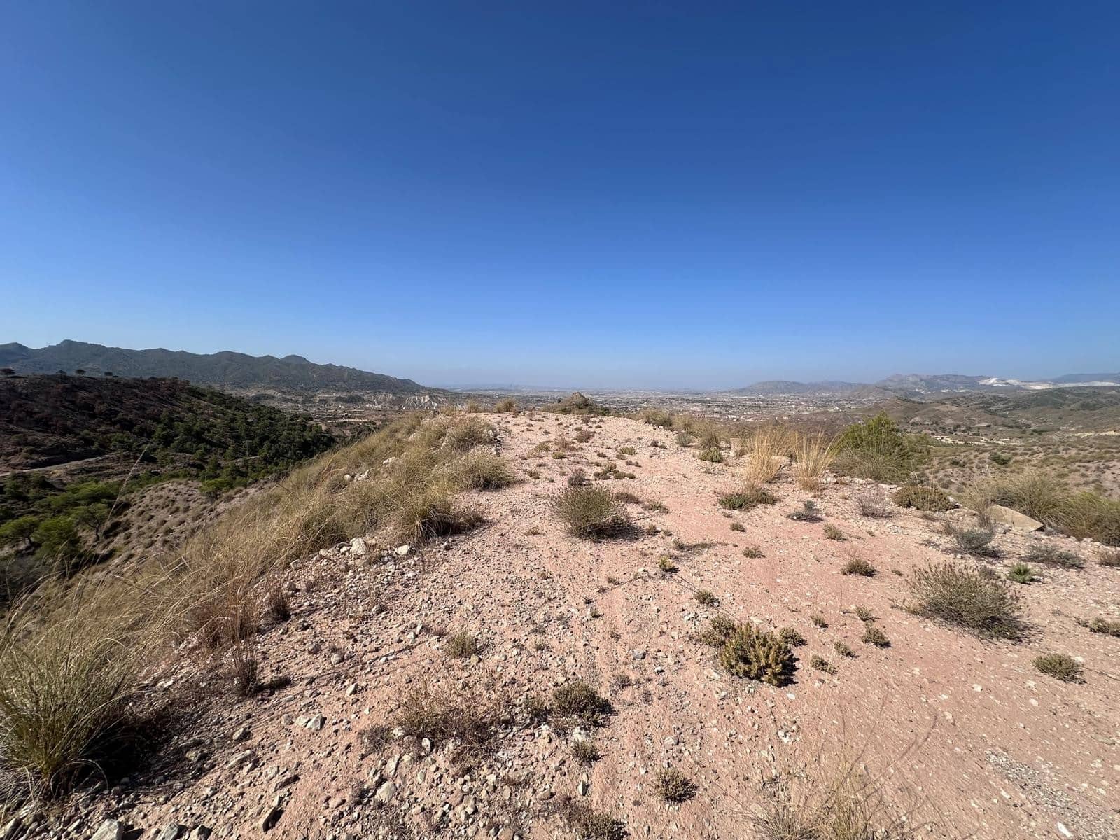 Undeveloped Land for sale in Macisvenda - € 42,000 (Ref: 9981448)