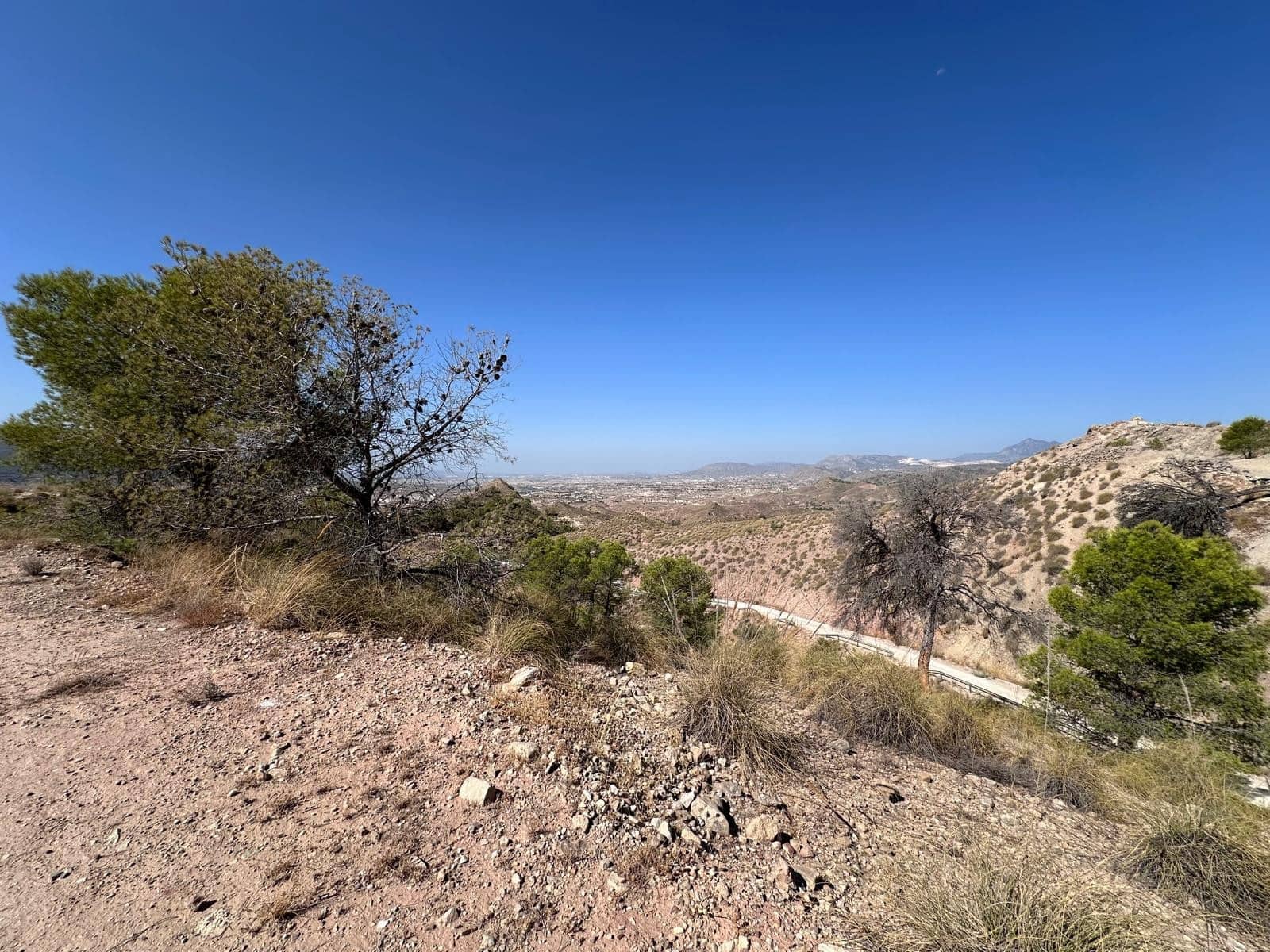 Undeveloped Land for sale in Macisvenda - € 42,000 (Ref: 9981448)