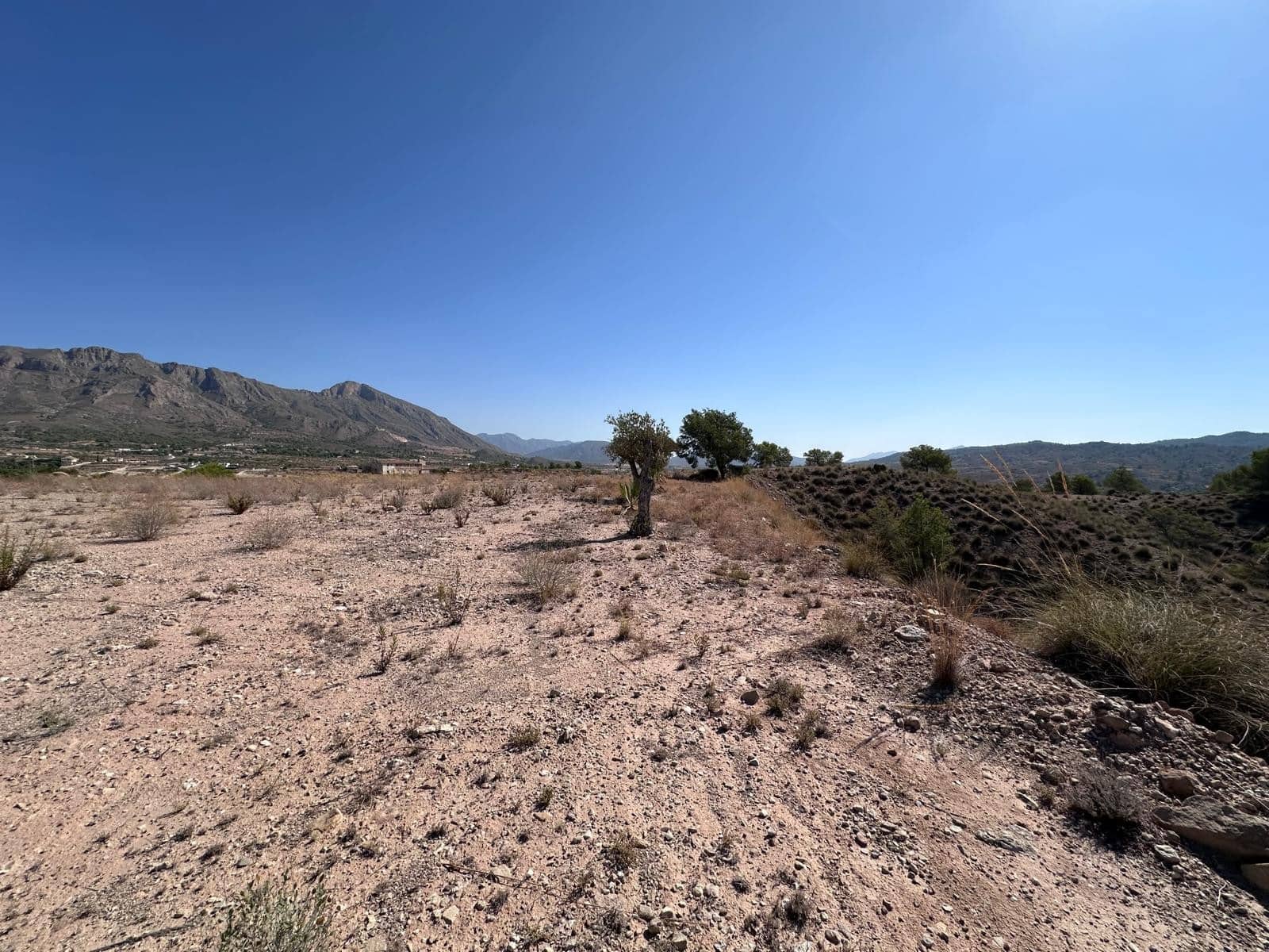 Undeveloped Land for sale in Macisvenda - € 42,000 (Ref: 9981448)