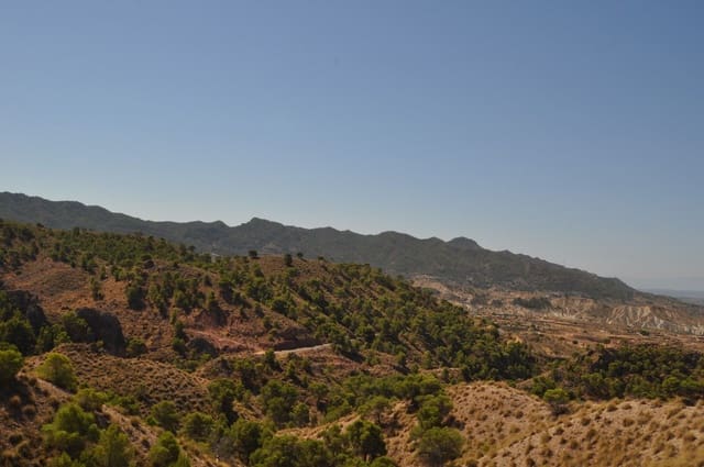 Mark till salu i Macisvenda, Abanilla - 42 000 € (Ref: 9981448)