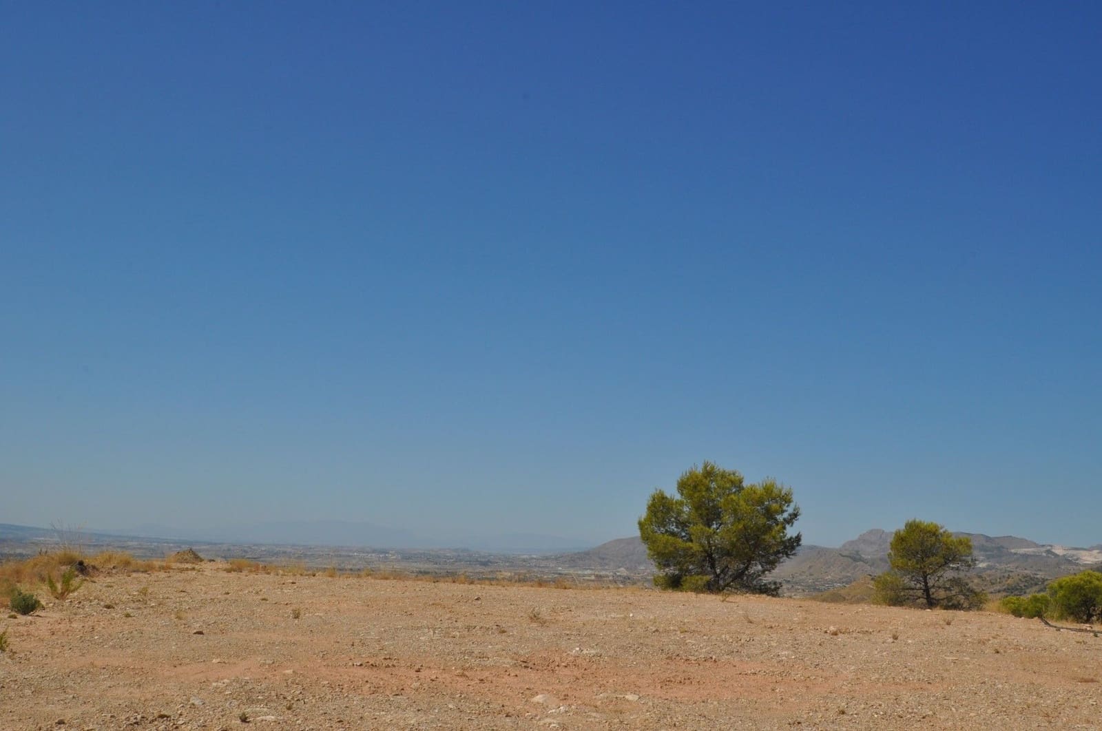 Grond te koop in Macisvenda - € 42.000 (Ref: 9981448)