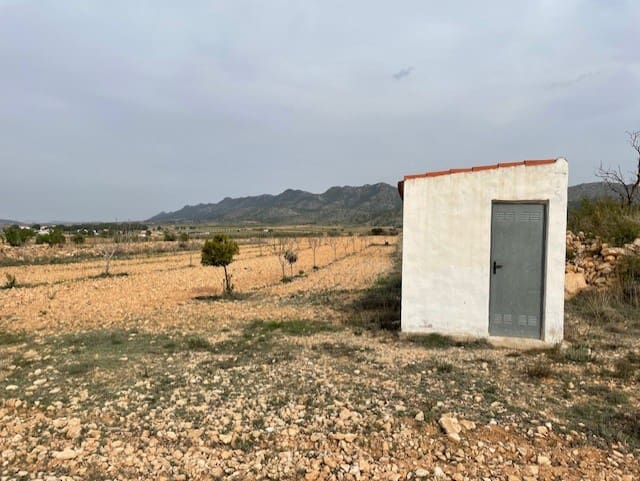Terreno/Finca Rústica en Yecla en venta - 54.900 € (Ref: 9981449)
