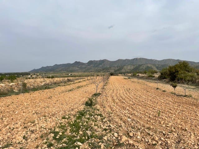 Terreno/Finca Rústica en Yecla en venta - 54.900 € (Ref: 9981449)