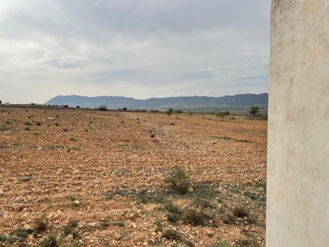 Terreno/Finca Rústica en Yecla en venta - 54.900 € (Ref: 9981449)