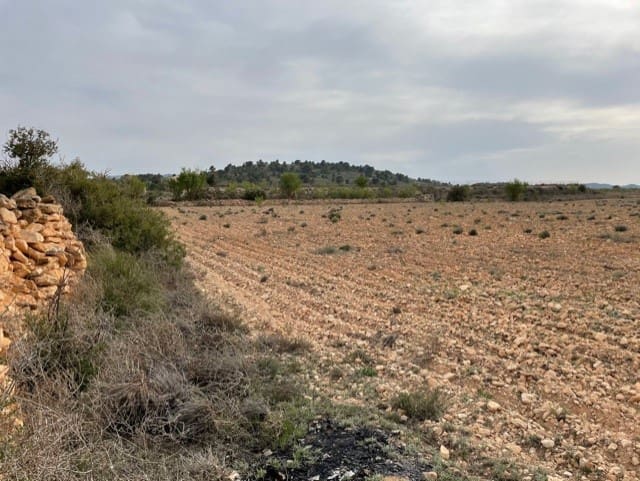 Terreno/Finca Rústica en Yecla en venta - 54.900 € (Ref: 9981449)