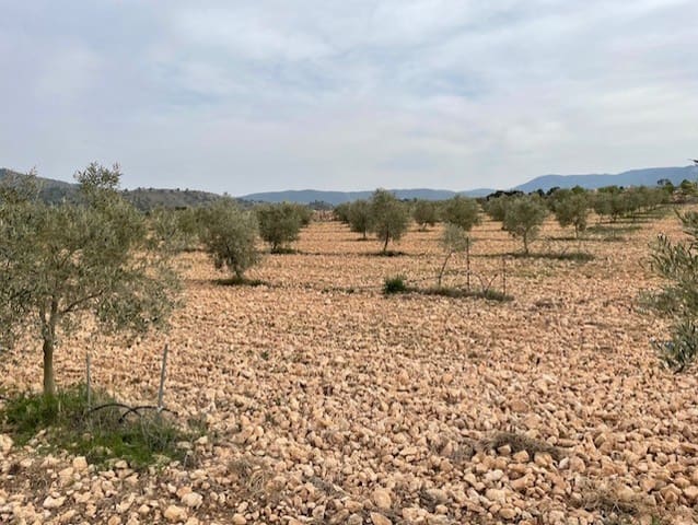 Terreno/Finca Rústica en Yecla en venta - 54.900 € (Ref: 9981449)