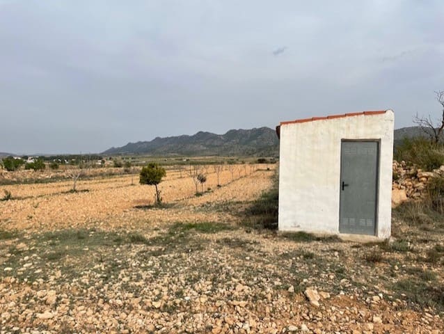Terreno/Finca Rústica en Yecla en venta - 54.900 € (Ref: 9981449)