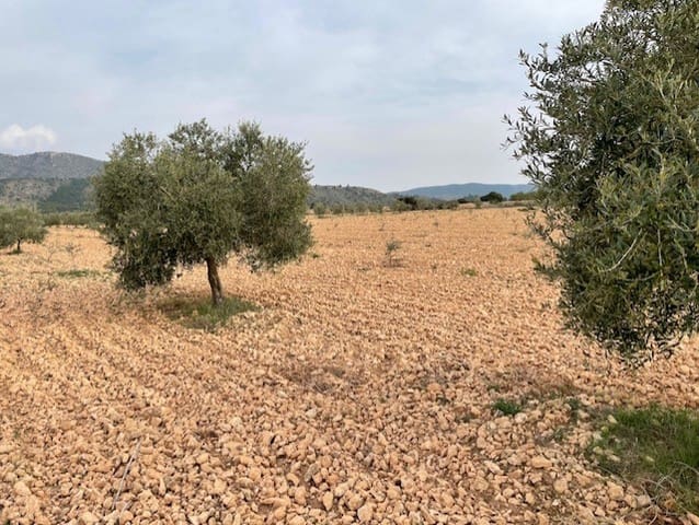 Terreno/Finca Rústica en Yecla en venta - 54.900 € (Ref: 9981449)