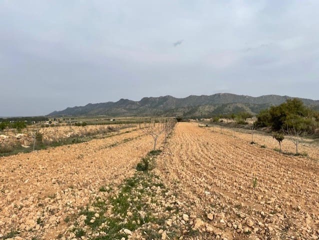 Terreno/Finca Rústica en Yecla en venta - 54.900 € (Ref: 9981449)